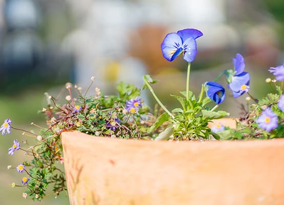 温故療院イメージ写真-01-1