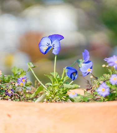 温故療院イメージ写真-05-1